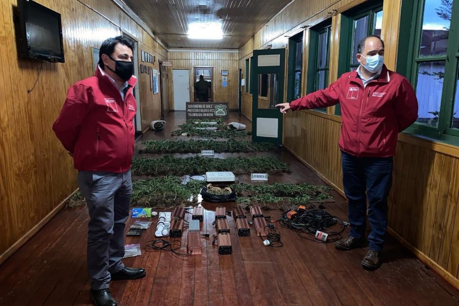 Delegado Helmuth Palma valoró resultados de decomiso de drogas efectuado por Carabineros en Río Bueno