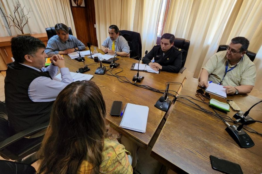 Provechosa reunión por Mesa de Verano realizan municipios de la provincia con Delegación del Ranco