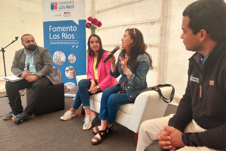 <strong>Equipo territorial de la Delegación del Ranco participó en Conversatorio sobre fomento productivo</strong>