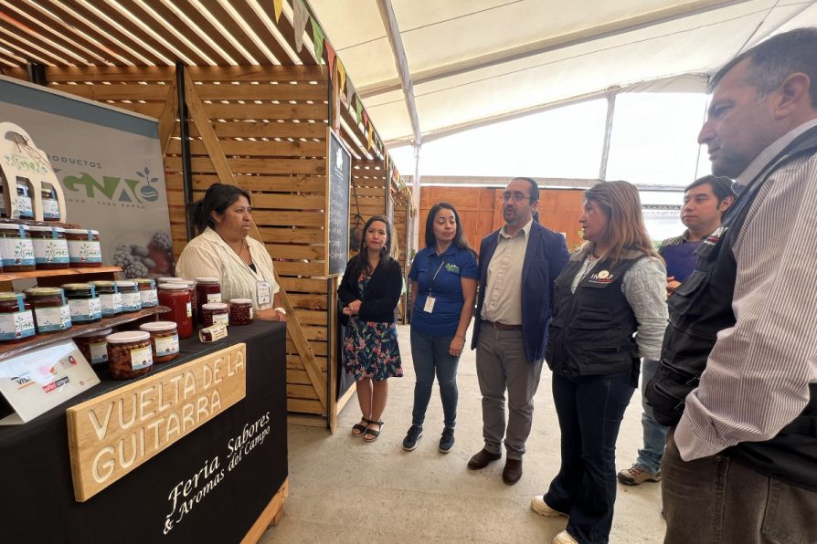 Lago Ranco: Inauguración feria “Sabores del campo, forjando tradiciones culturales”