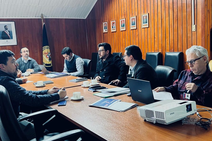 Audiencias de playa en la delegación presidencial del Ranco