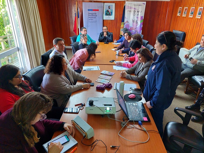 Delegado del Ranco y equipos territoriales articulan trabajo con Fundación Prodemu y Centro de la Mujer La Unión