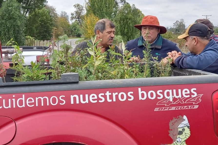 Satisfacción por respuesta de habitantes de Rofuco ante presencia de servicios públicos en el sector
