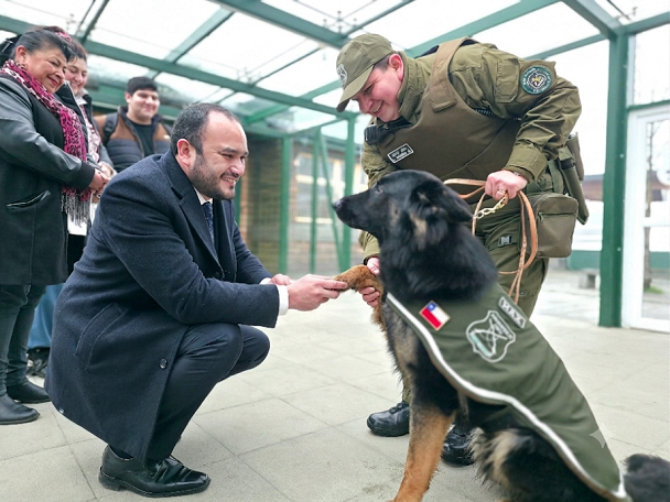 Delegado Alex Valderrama da la bienvenida a perrito que prestará servicios a Carabineros del Ranco